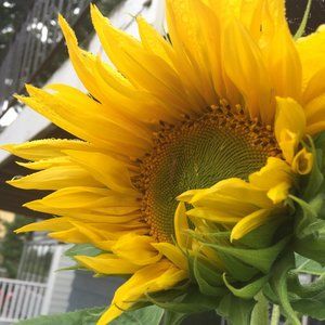 Meet your Posher, Khia